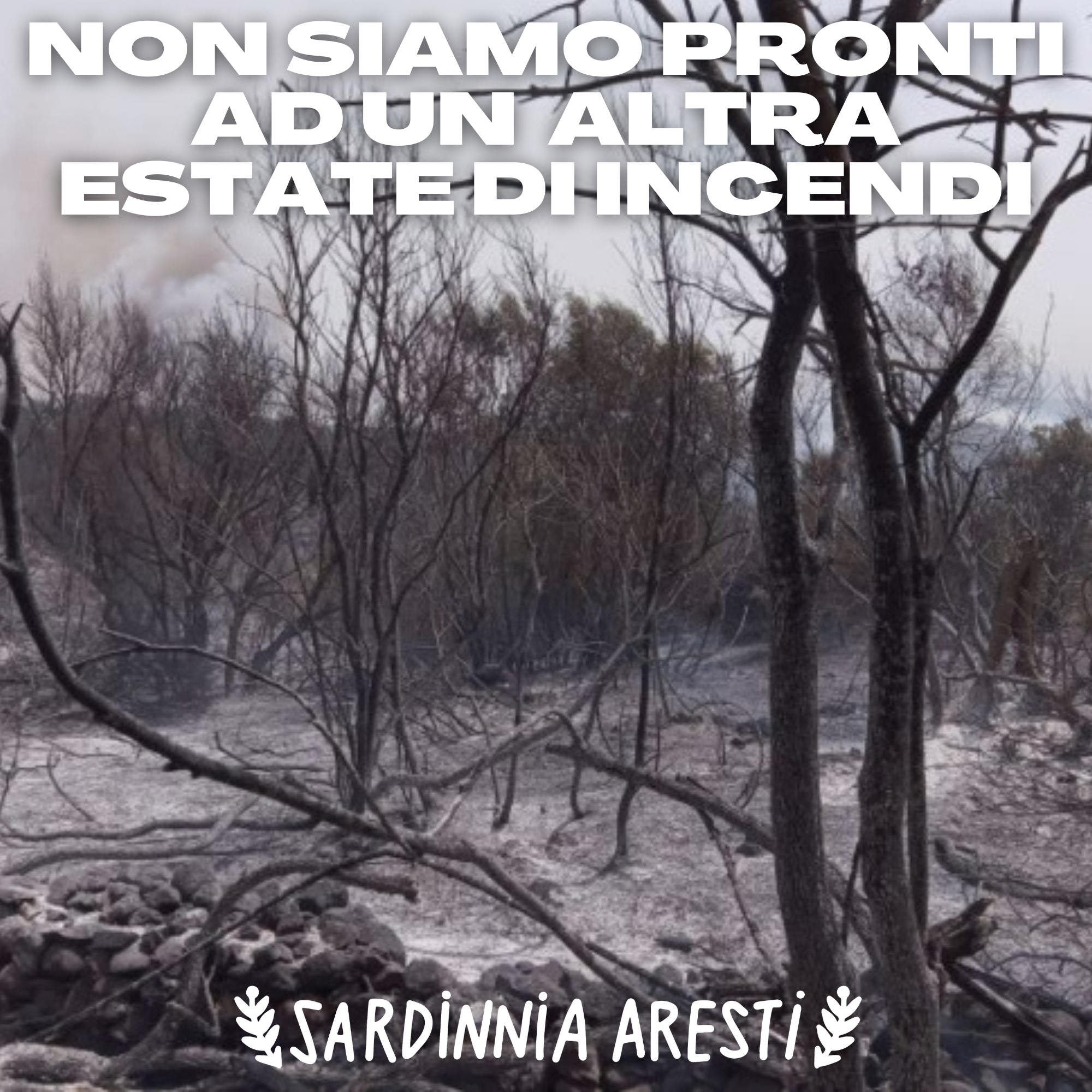 Sardegna, terra bruciata